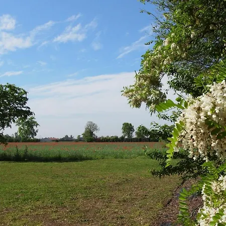Fiorbello Montirone