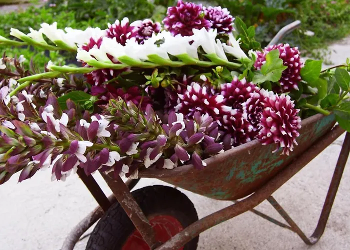 팜스테이 Fiorbello *